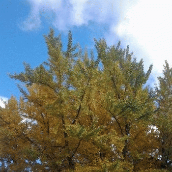 Sloth (USA-2) : 11-28-2013...Best Thanksgiving Ever???...Fukk-Yeah!!!!